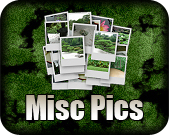 Misc Images